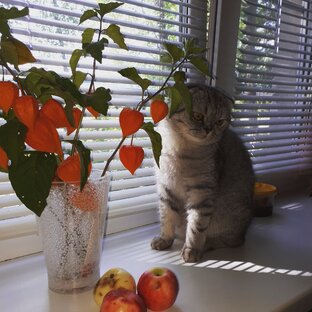 Красота во всем.