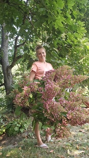 Черенкование растений 