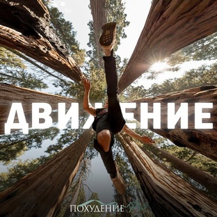 Движение
