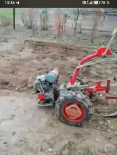 Мои помошники  в обработке огорода. 