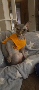 Макс и Чарлик