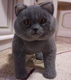 Приручение