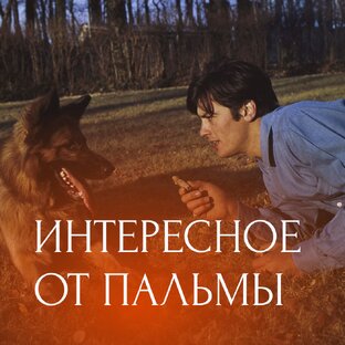 Интересное от Пальмы