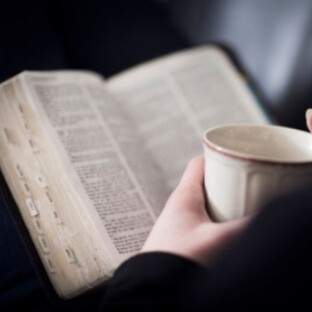 Про взаимосвязи школьных предметов и жизни