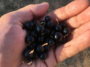 Крымские походы начинающего туриста