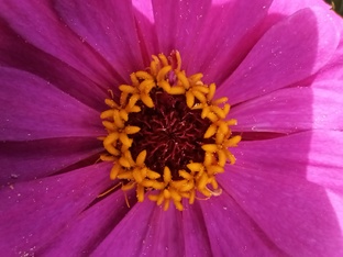 Образы на лето