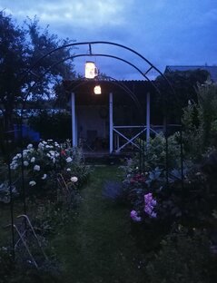 Новости из нашего сада 💚