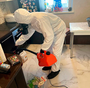 Уничтожение насекомых в квартире в Москве