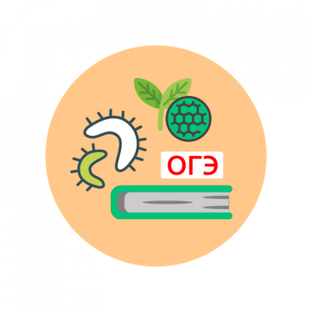 Подготовка к ОГЭ, ЕГЭ-биология