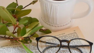 Отчеты/своды 