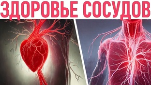 Здоровье сосудов