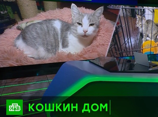 СМИ про нас