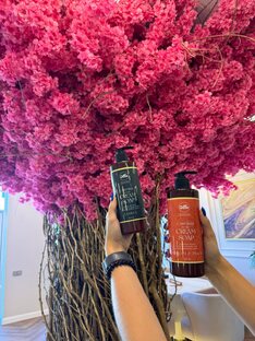 Ваш путеводитель по чистоте