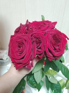 С чего все началось