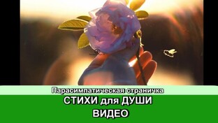 СТИХИ для души
