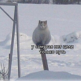 А что ты умеешь?