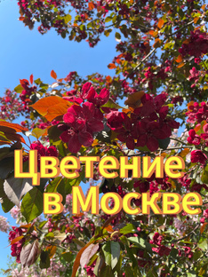 Красота природы. 