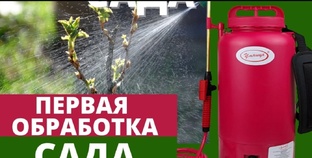 Весенняя пора!!! 