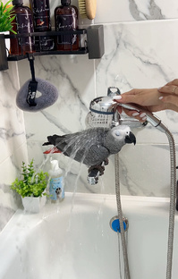 Купаемся 💦 