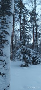 Новосибирская область 