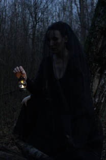 Бесплатные акции Таро