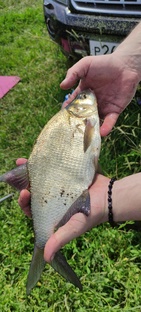 Семейный отдых #рыбалка