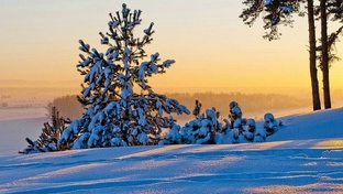 ПРОГНОЗЫ НА НЕДЕЛЮ 2025 ГОДА