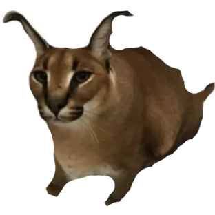 Истории Шлёпы