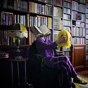 Субъективное мнение 