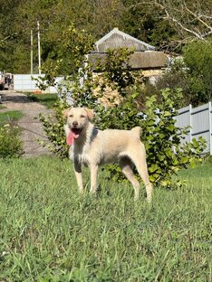 Жизнь наших хвостиков