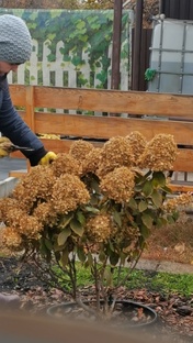 Осень на дворе