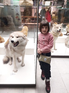 Музеи детям: куда идти, чтобы не было скучно