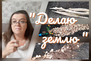 Подготовка почвы. Удобрения