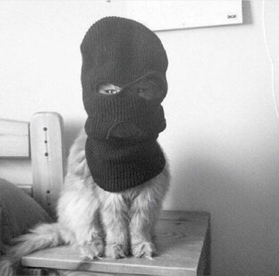 Самые вовлекающие публикации