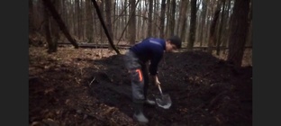 Лесная изба 