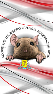 Истории наших подопечных