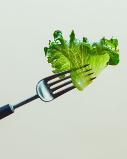 Рецепты и меню