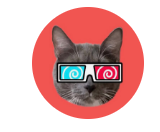 kotiynet