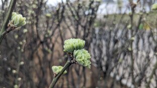 Почему не стоит доверять первому встречному 