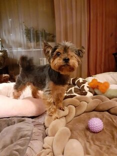 МИтяй ищет ДОМ!