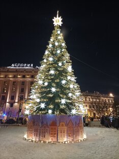 Новогодний Петербург 