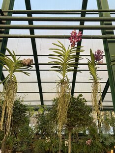 Необычные кафе и рестораны, гастрокварталы