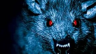 Заповедный спецназ