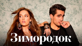 Зимородок