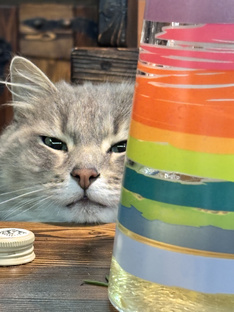 Пушистые родственники 