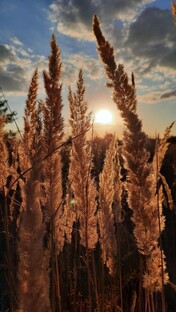 Посты о прекрасном