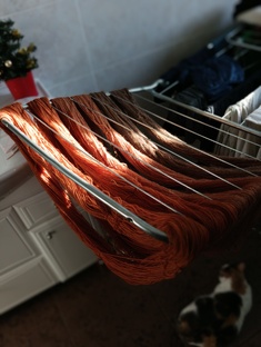 Эксперименты 😁🧪