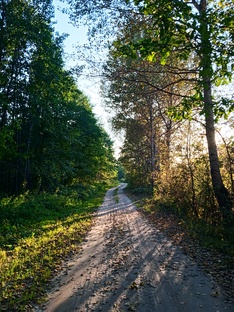 Прогулки