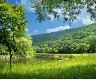 Природа и погода