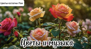 Цветы и музыка